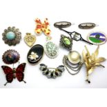 A selection of costume jewellery brooches. P&P Group 1 (£14+VAT for the first lot and £1+VAT for