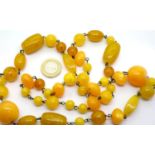 Butterscotch amber necklace of different size beads, largest 25 x 17 mm, combined 81.7g. P&P Group 1