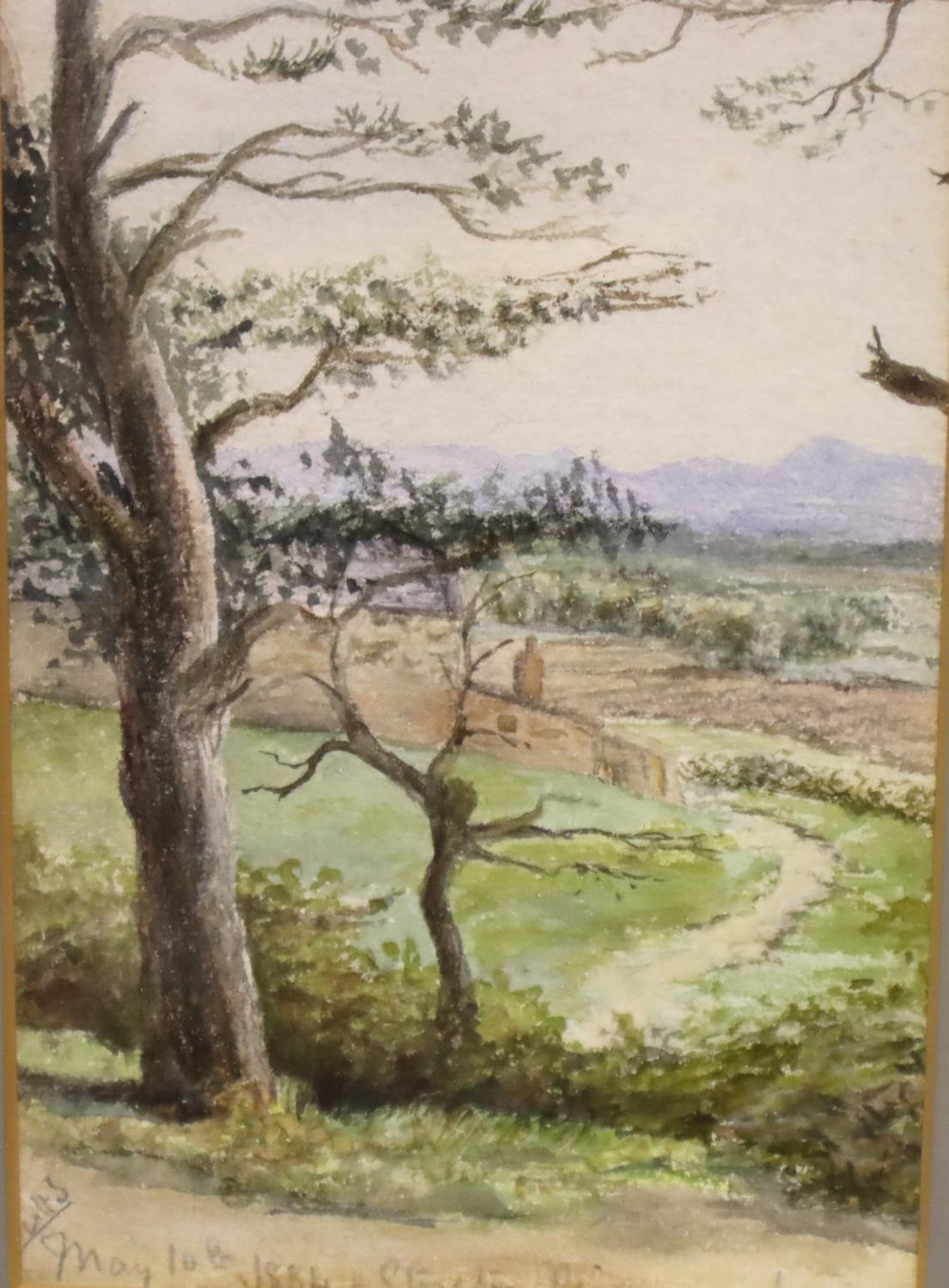 LHS; a Victorian watercolour Stretton Pine Wood May 10th 1884, 14 x 23 cm. Not available for in-