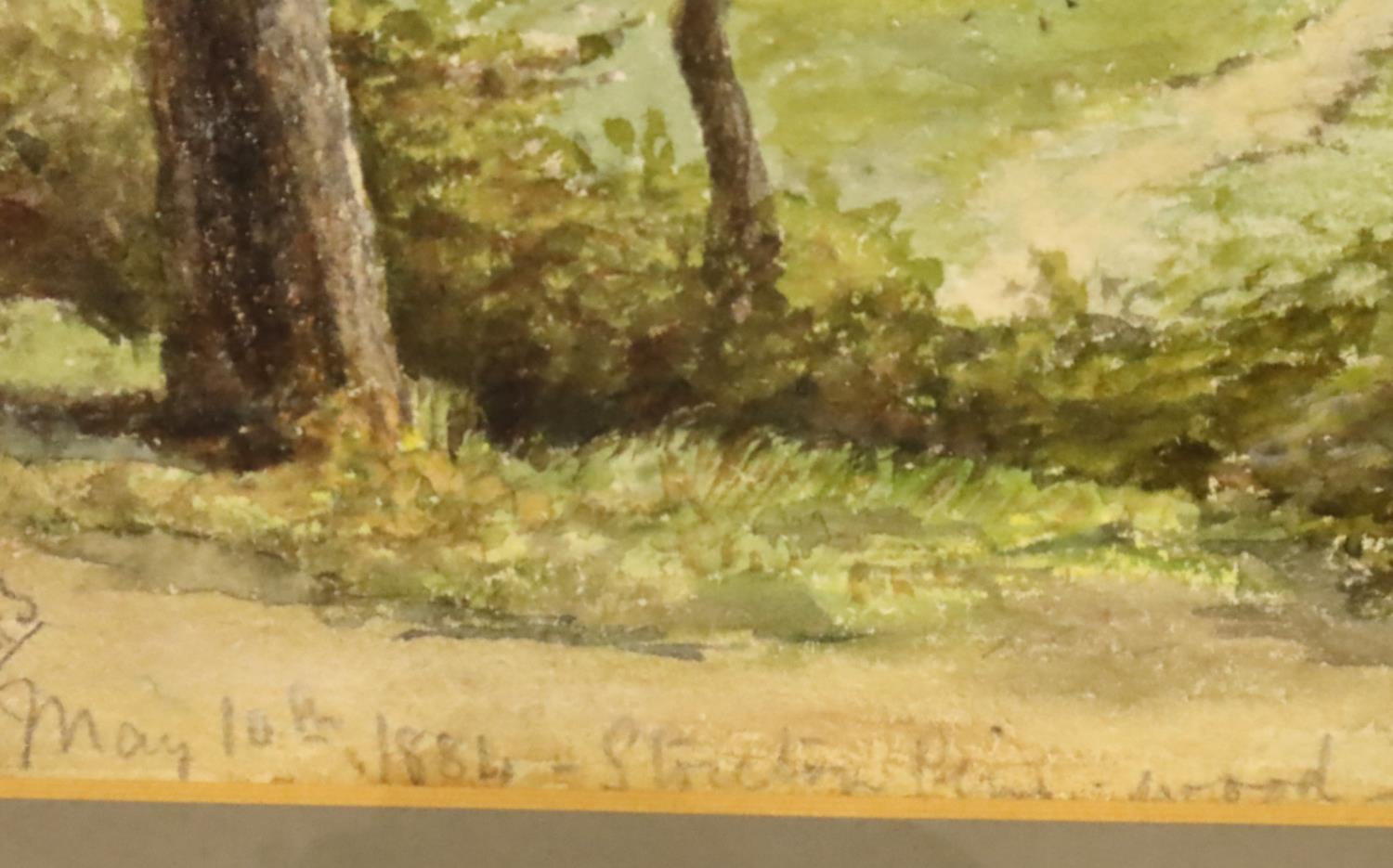 LHS; a Victorian watercolour Stretton Pine Wood May 10th 1884, 14 x 23 cm. Not available for in- - Image 3 of 3