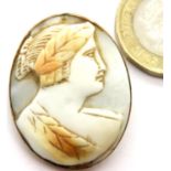 Yellow metal cameo brooch, 6.8g. P&P Group 1 (£14+VAT for the first lot and £1+VAT for subsequent