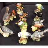 Eleven Beswick birds; Blue Tit, Bullfinch, Whitethroat and others. Not available for in-house P&P,