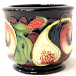 Moorcroft planter in the Queens Choice pattern, H: 90 mm. P&P Group 2 (£18+VAT for the first lot and