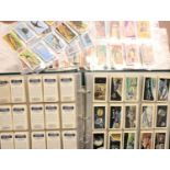 Approximately 5000 tea cards Brooke Bond and others. Not available for in-house P&P, contact Paul
