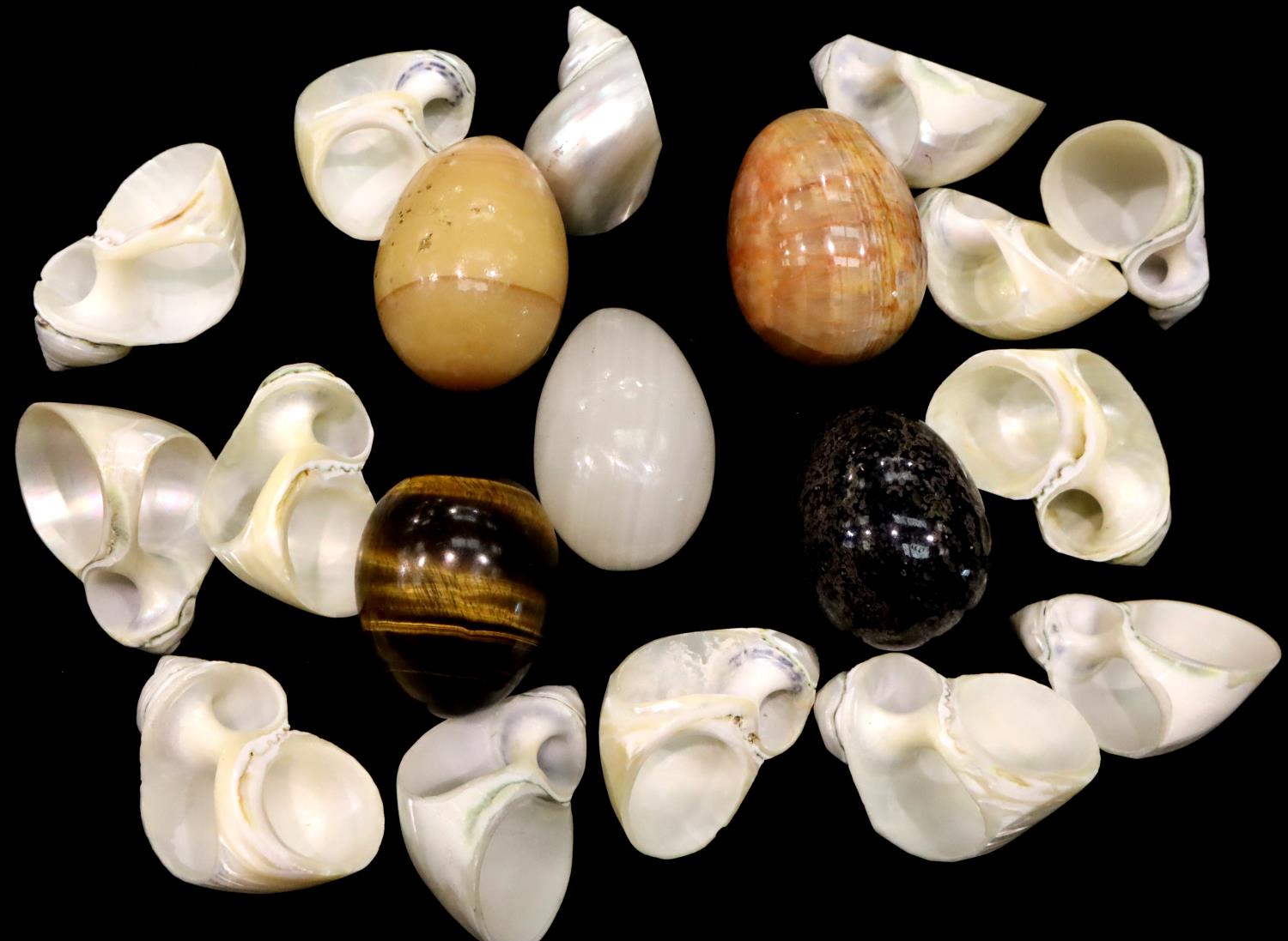 Collection of abalone sea shells and five polished hardstone eggs including a tigers eye example. - Image 2 of 2