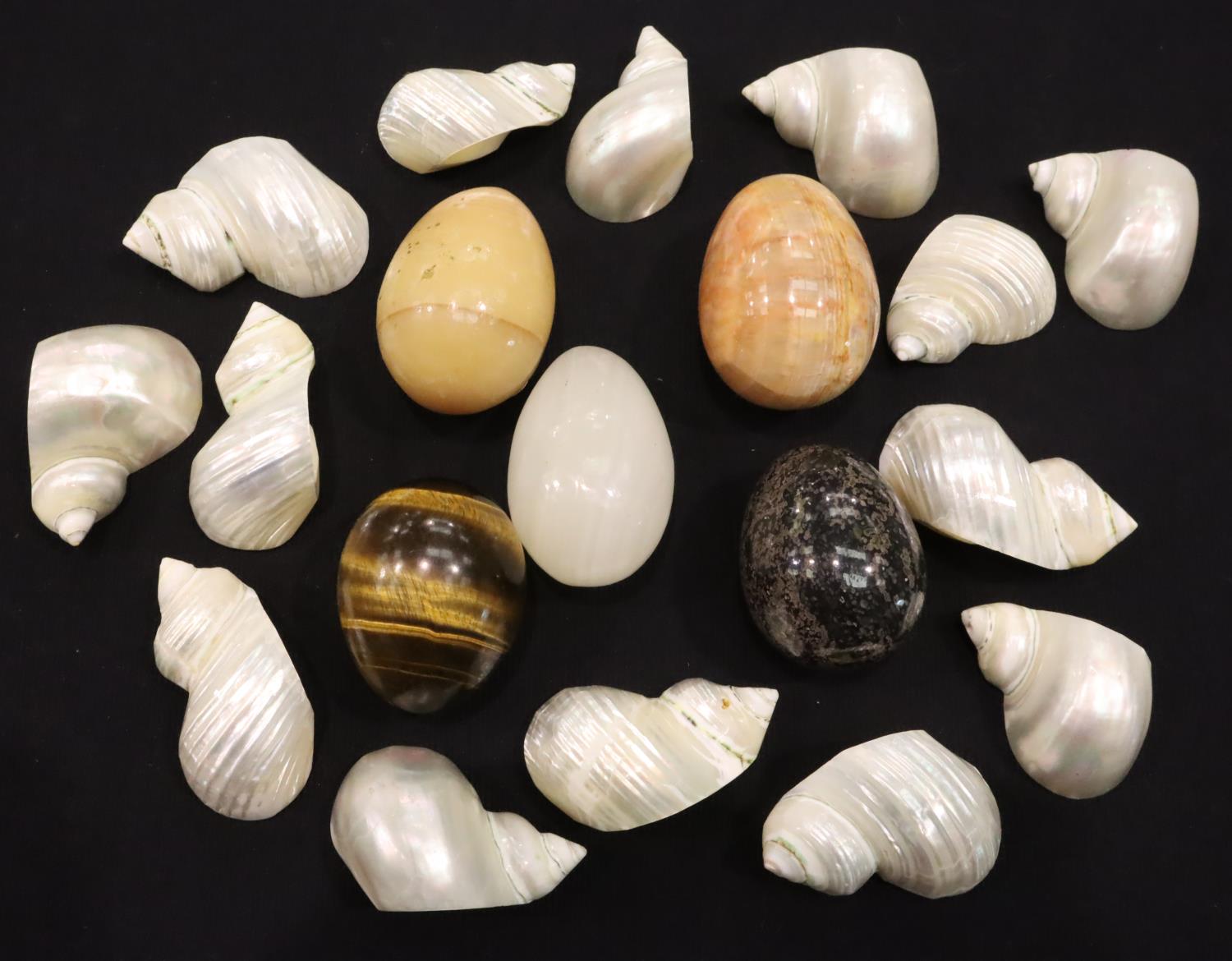 Collection of abalone sea shells and five polished hardstone eggs including a tigers eye example.