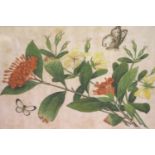 Victorian watercolour on paper, flora with butterflies, 26 x 17 cm. Not available for in-house P&