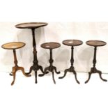 19th century walnut tripod lamp table (top warped) and four early 20th century mahogany tripod