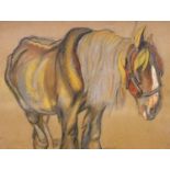 Pastel on card of a standing cob, 52 x 62 cm. Not available for in-house P&P, contact Paul O'Hea