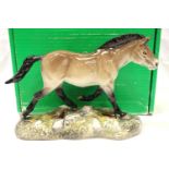 Boxed Beswick Przewalski Wild Horse, limited edition 668/1000, H: 17 cm. P&P Group 2 (£18+VAT for