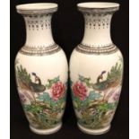 Pair of 20th Century Chinese vase with peacock decoration, marked to base, H: 32 cm. P&P Group 3 (£