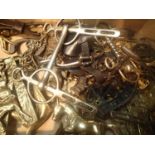 Box of horse brass and horse ornaments. Not available for in-house P&P, contact Paul O'Hea at