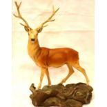 Beswick stag no 2629 on base, matte finish, H: 34 cm. P&P Group 3 (£25+VAT for the first lot and £
