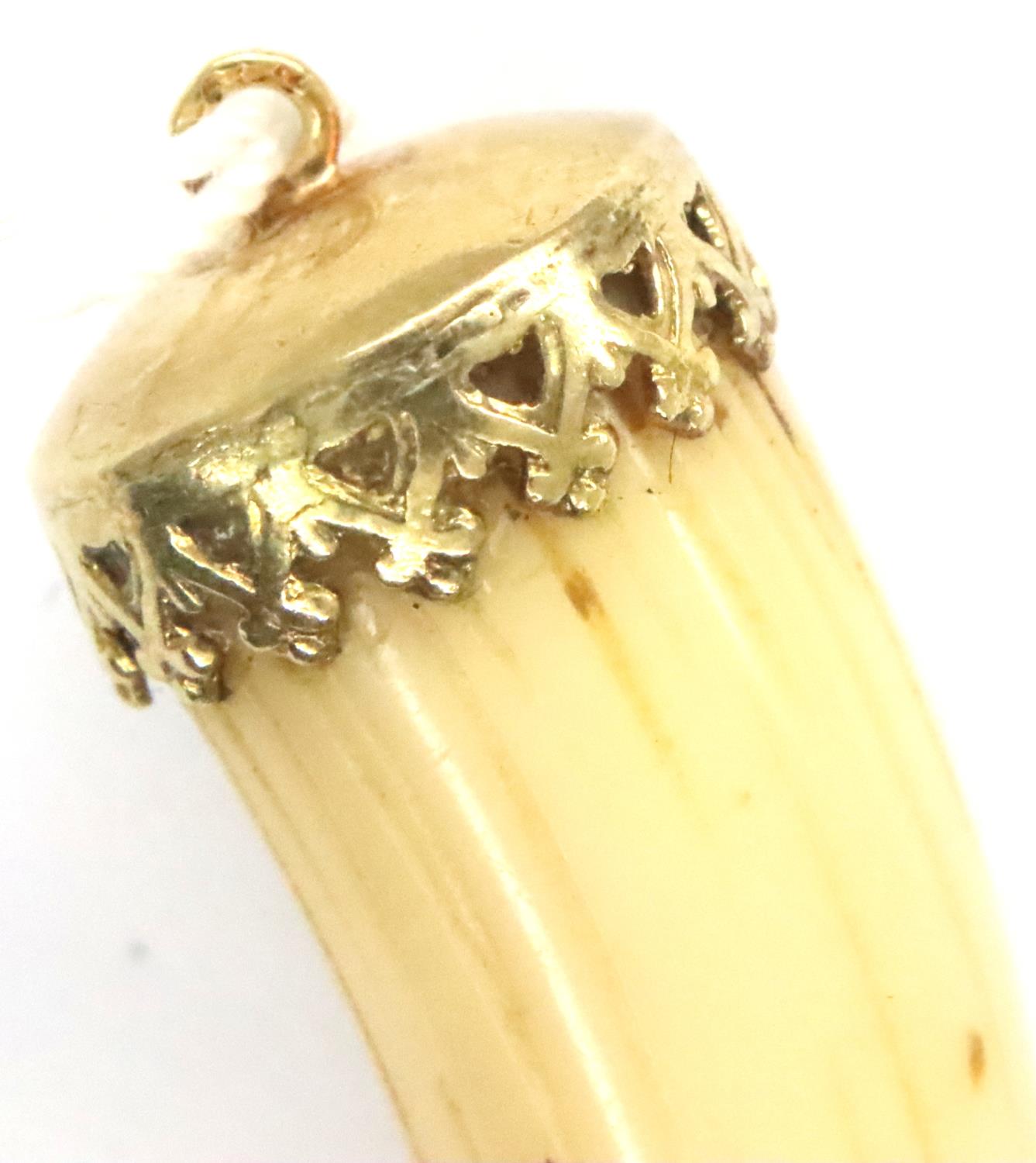 9ct gold mounted tooth pendant, L: 57 mm. P&P Group 1 (£14+VAT for the first lot and £1+VAT for - Image 3 of 3