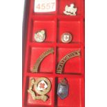 Red Cross and Nursing badges and shoulder titles. P&P Group 1 (£14+VAT for the first lot and £1+