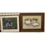 Jan Ferguson; two original framed and glazed watercolours, swans with cygnets and squirrels. Largest