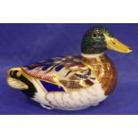 Royal Crown Derby Mallard with silver button, L: 15 cm. No cracks, chips or visible restoration. P&P