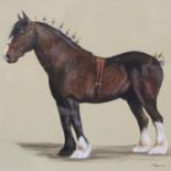 Jan Ferguson (B.1955); original watercolour Clydesdale Horse, 43 x 38 cm. Not available for in-house