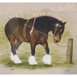 Jan Ferguson (B.1955); original watercolour, Clydesdale horse, 37 x 30 cm. Not available for in-