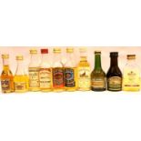 Ten whisky miniatures. P&P Group 2 (£18+VAT for the first lot and £3+VAT for subsequent lots)