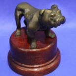 Bronzed Bulldog, H: 10 cm. P&P Group 1 (£14+VAT for the first lot and £1+VAT for subsequent lots)