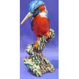 Anita Harris Kingfisher, signed in gold, H: 18 cm. No cracks, chips or visible restoration. P&P