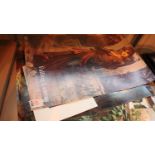 Four mounted prints and four museum posters of Pre-Raphaelite paintings, largest 84 x 60 cm. P&P