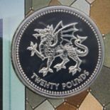 2017 Welsh Dragon uncirculated 999 fine silver £20. P&P Group 1 (£14+VAT for the first lot and £1+