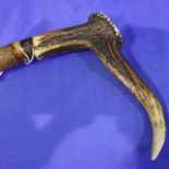 Antler handled cane, L: 85 cm. P&P Group 2 (£18+VAT for the first lot and £3+VAT for subsequent