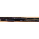 Vintage Carp rod 12ft and an Orbula carbon spinning rod. P&P Group 3 (£25+VAT for the first lot
