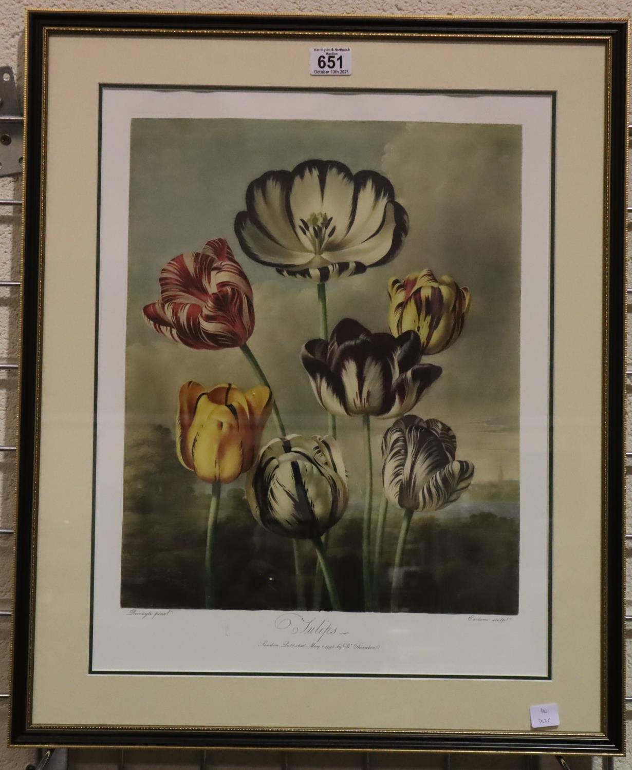 Robert John Thornton (1768 - 1837); floral print, first published 1805, 39 x 51 cm. Not available - Image 2 of 3