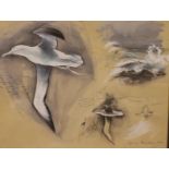 Bruce Pearson (British, b.1950); watercolour wash over charcoal and pencil, gull in flight, signed