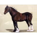 *** WITHDRAWN *** Jan Ferguson (B.1955); original watercolour Clydesdale Horse, 43 x 38 cm. Not