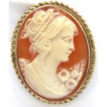 9ct gold bound cameo brooch, 30 x 23 mm, 6.9g Birmingham assay. P&P Group 1 (£14+VAT for the first