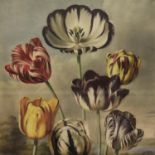 Robert John Thornton (1768 - 1837); floral print, first published 1805, 39 x 51 cm. Not available