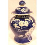 Chinese Prunus lidded jar, H: 21 cm. Chip to rim and fleabites to lid rim. P&P Group 3 (£25+VAT