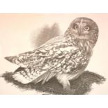 William Geldart (b. 1936) limited edition print of an Owl, 191/350. 56 x 42 cm. Not available for