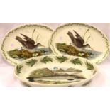 Two Portmeirion plates and a large serving dish. P&P Group 3 (£25+VAT for the first lot and £5+VAT