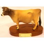 Boxed matt Beswick Jersey cow on wooden plinth, L: 16 cm, no cracks, chips or visible restoration.