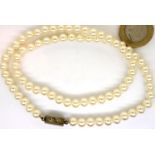 Cultured pearl necklace with a silver clasp. P&P Group 1 (£14+VAT for the first lot and £1+VAT for