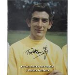 PAT JENNINGS, ARSENAL, AFTAL AND UACC CERTIFIED 10 X 8 PHOTO / SIGNED