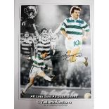 CHARLIE NICHOLAS, CELTIC, AFTAL AND UACC CERTIFIED 16 X 12 PHOTO / SIGNED
