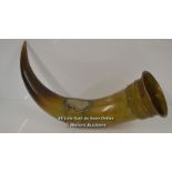 *LARGE BOVINE HORN WITH BRASS FITTINGS, 27CM HIGH (LPGBA000000260839379) [LQD197]