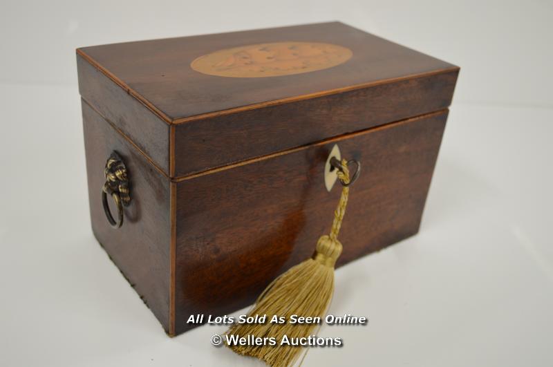 *REGENCY TWO SECTION TEA CADDY WITH SHELL MOTIF & KEY / 20 X 13 X 10.5 CM [LQD197]