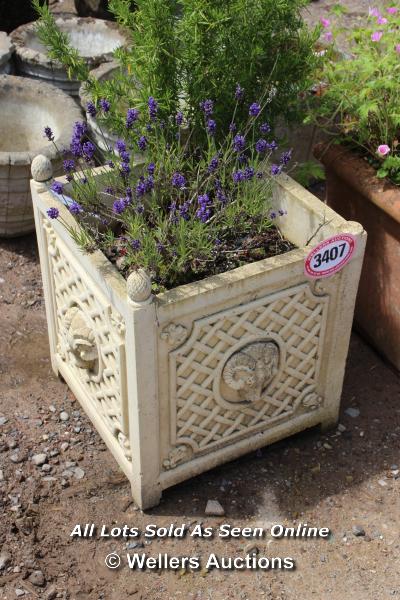 *STONE SQUARE PLANTER WITH RAMS HEAD COMPLETE WITH LAVENDER AND ROSEMARY BUSHES, 42.5CM X 42.5CM X
