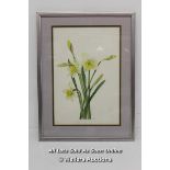 FRAMED ORIGIONAL WATER COLOUR PAINTING OF DAFFODILS