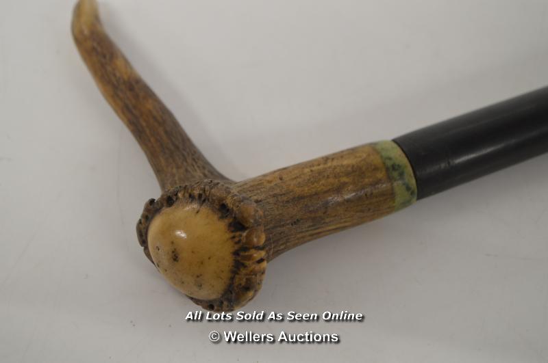 *DEER ANTLER WALKING CANE / 80CM [LQD215] - Image 2 of 3