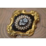 *HARD STONE CAMEO NATURAL SEED PEARLS GOLD CASED FORGET ME NOT BROOCH [LQD215]