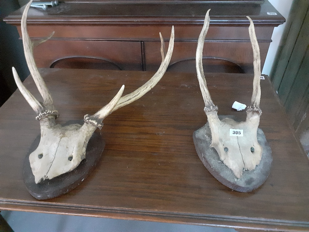 PAIR OF ANTLER HORNS