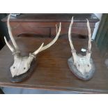 PAIR OF ANTLER HORNS